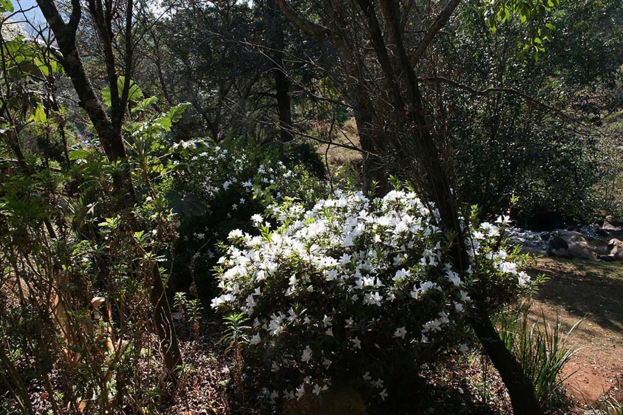 Sabie Star Villa Luaran gambar